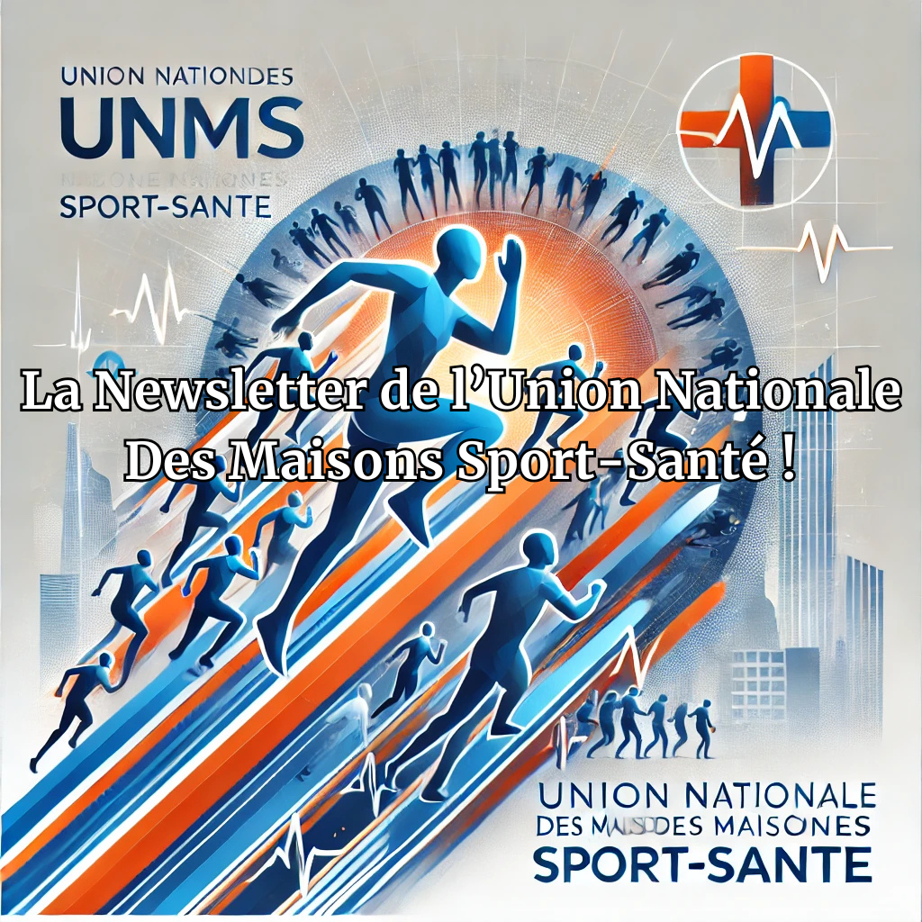 Newsletter 1 – UNMSS – Novembre 2024.